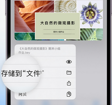 灵台apple维修中心分享iPhone文件应用中存储和找到下载文件