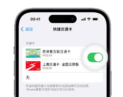 灵台apple维修点分享iPhone上更换Apple Pay快捷交通卡手绘卡面 