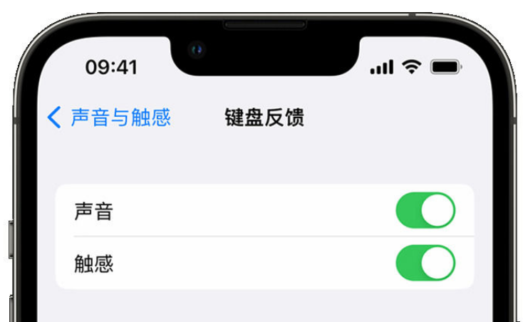 灵台苹果手机维修分享iPhone 14触感键盘使用方法 