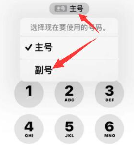 灵台苹果14维修店分享iPhone 14 Pro Max使用副卡打电话的方法 