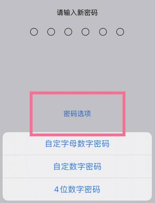 灵台苹果14维修分享iPhone 14plus设置密码的方法 